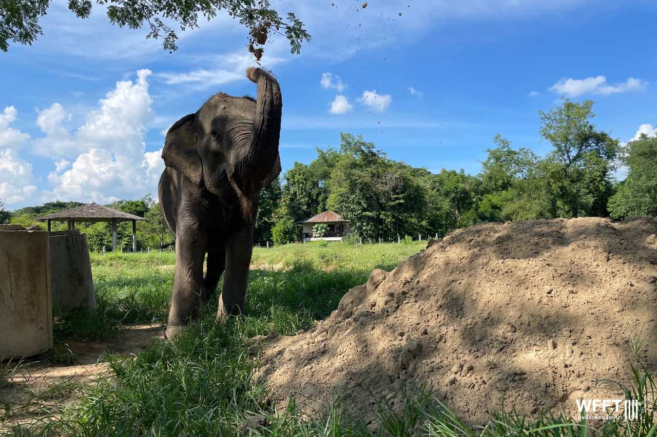 Nam Chok playing with mud